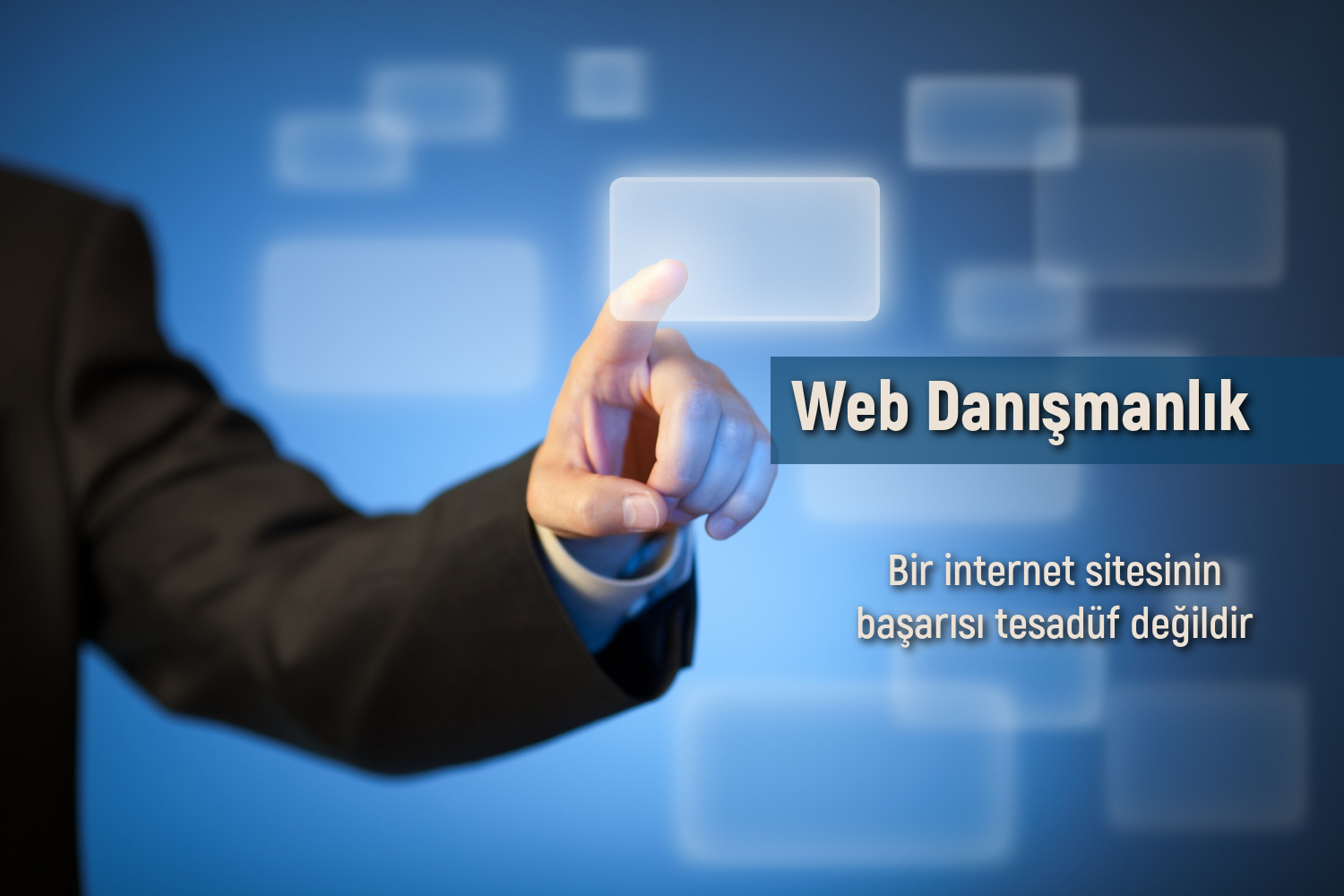 Web Danışmanlık