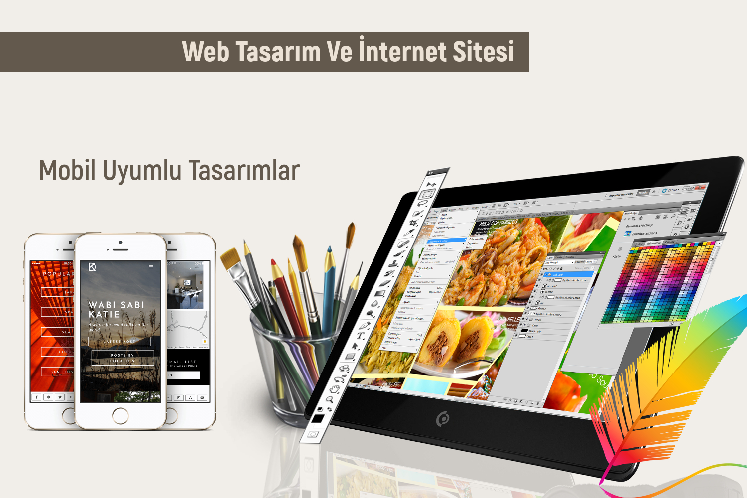 Web Tasarım Ve İnternet Sitesi